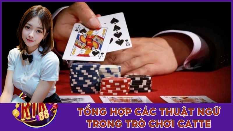 Luật Chơi Cát Tê Đổi Thưởng Ai Cũng Phải Thuộc Lòng 2 Tổng hợp các thuật ngữ trong trò chơi Catte